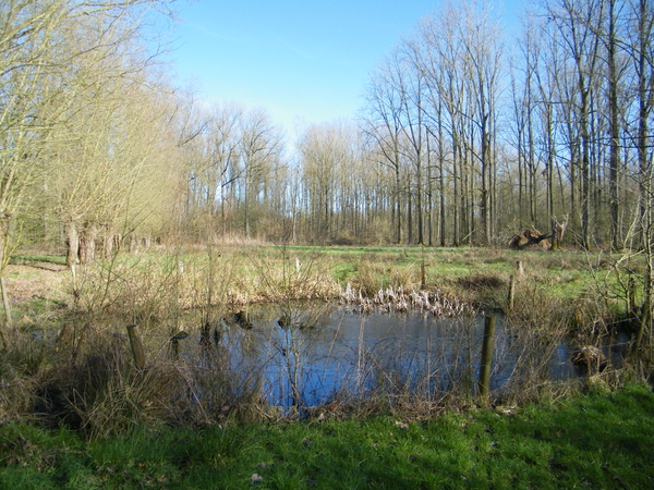 Wellemeersenpad Denderleeuw