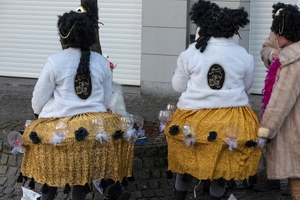Aalst Carnaval (044)-p