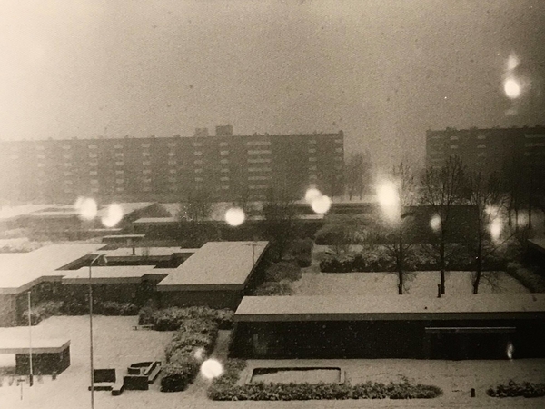 Prinsenhof, scholeneiland. Omstreeks 1975.