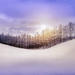 hd-winter-wallpaper-mit-einem-schnee-bedeckten-berghang-und-baume