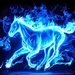 schwarzen-hintergrund-mit-blauen-neonlicht-pferd