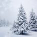 wallpaper-winter-wunderland-mit-schnee-bedeckten-baume-und-viel-s