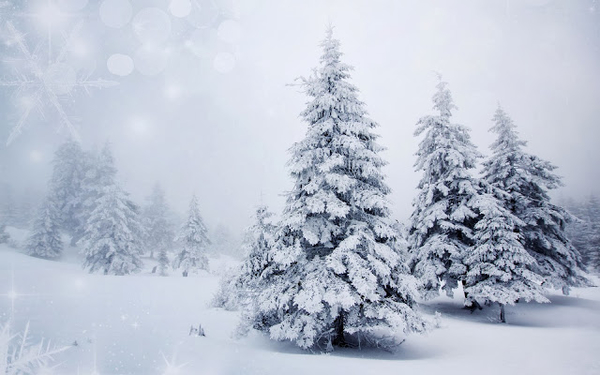 wallpaper-winter-wunderland-mit-schnee-bedeckten-baume-und-viel-s