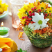 bilder-schonen-blumen-desktopmotiv