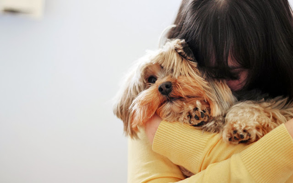 madchen-kuschelt-mit-ihrem-hund-hd-hunde-hintergrundbilder