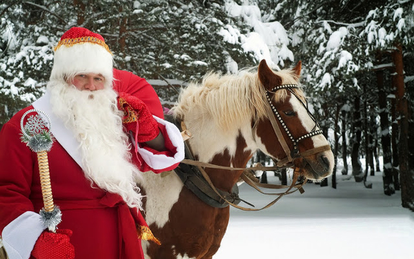 bild-von-weihnachtsmann-mit-pferd-drauÃŸen-im-schnee-mit-baumen