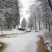 landschaft-winter-hintergrund-bild-mit-baumen-schnee-fluss-eis-un