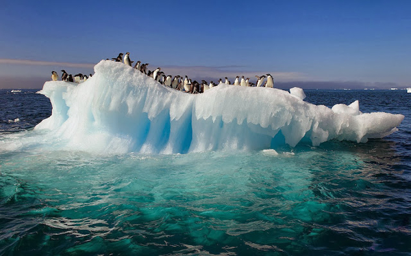 bild-von-pinguine-auf-einer-eisscholle-in-antarktis-im-winter-hd-