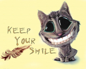 Cat_-_Keep_Your_Smile