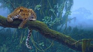 hd-wallpaper-with-a-leopard-on-a-branch-in-the-forest
