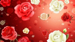 Roses_flowers_1366x768_hd_laptop