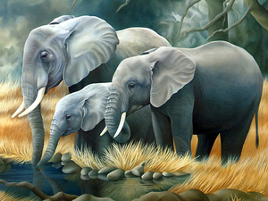 3d_animals_-_Elephants