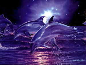 3d_Digital_Dolphins