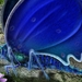 Blue_Butterfly_-_Art_Design_pictures