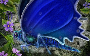 Blue_Butterfly_-_Art_Design_pictures