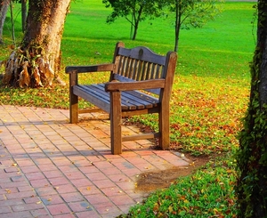 bench-3189994_960_720