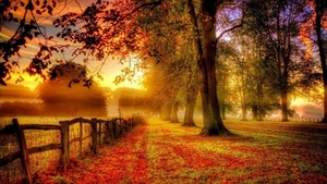countryside-autumn-fall_1391291205