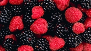 blackberries_456612211