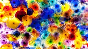 colourful-jellyfish_844374562