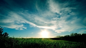 green-grass-blue-sky_901972424