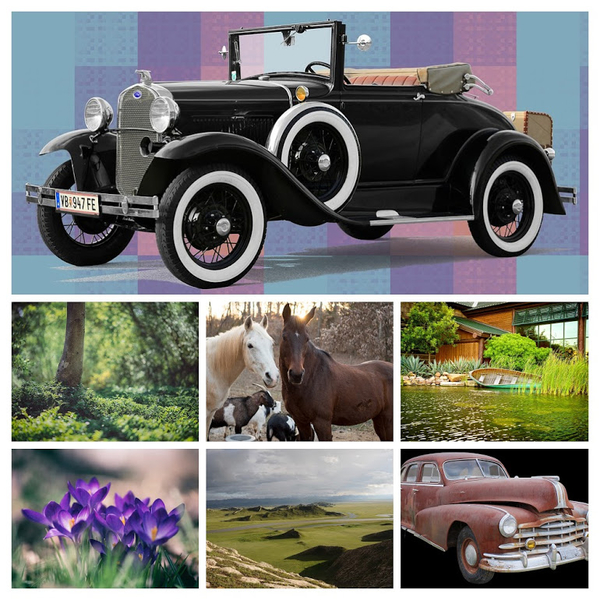 ford-2157269_960_720-COLLAGE