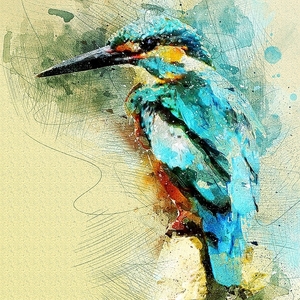 kingfisher-3199927_960_720