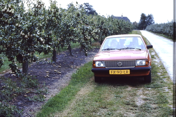 de oranje Opel ascona