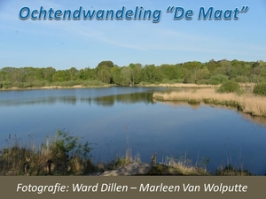 2016-05-08 Ochtendwandeling De Maat (WD-MVW)
