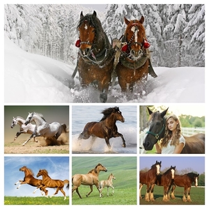 hd-meisje-met-paard-achtergrond-hd-vrouw-met-paard-wallpaper-foto