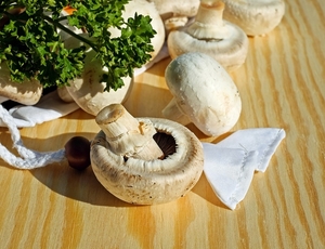 mushrooms-3199517_960_720