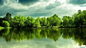 sunlight-landscape-forest-lake-water-nature-reflection-green-rive