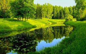 priroda-reka-derevya-zelen