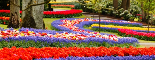 keukenhof_1