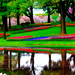 keukenhof_2_-1516956128