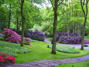 keukenhof_gardens_lovely_nice_grass_flowers-UeVG