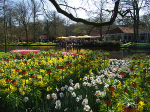 Netherlands_Parks_Daffodils_Fritillaria_Pond_526788_1152x864