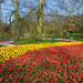 Netherlands_Parks_Spring_Pond_Tulips_Keukenhof_525306_2880x1800