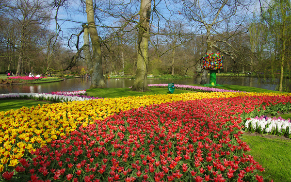 Netherlands_Parks_Spring_Pond_Tulips_Keukenhof_525306_2880x1800