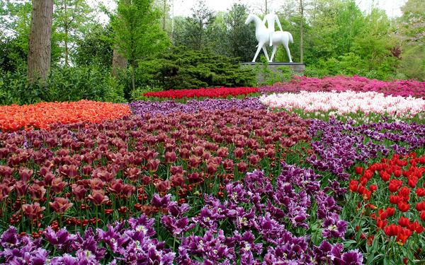 Netherlands_Parks_Tulips_490899_3840x2400