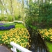 Netherlands_Parks_Tulips_Spring_Pond_Keukenhof_526310_1920x1280