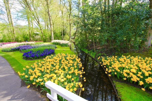 Netherlands_Parks_Tulips_Spring_Pond_Keukenhof_526310_1920x1280
