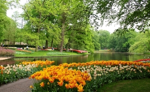 pond-wallpapers-gardens-keukenhof-tulips-nature-mobile-wallpaper-