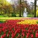 Water-Fountains-in-Tulip-Garden-768x510