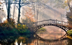 cityscape-reflection-evening-morning-mist-bridge-river-canal-tree