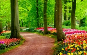 Colorful-Spring-park