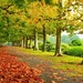 path-in-the-autumn-park-40075
