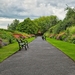 path-in-the-garden-45160-1920x1080