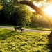 Summer-morning-in-the-park-bench-trees-grass-sunlight_1600x1200