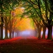 wallpapersden.com_park-fall-fog_1600x1200