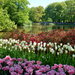 Netherlands_Parks_Pond_Tulips_Keukenhof_Lisse_547604_1366x768